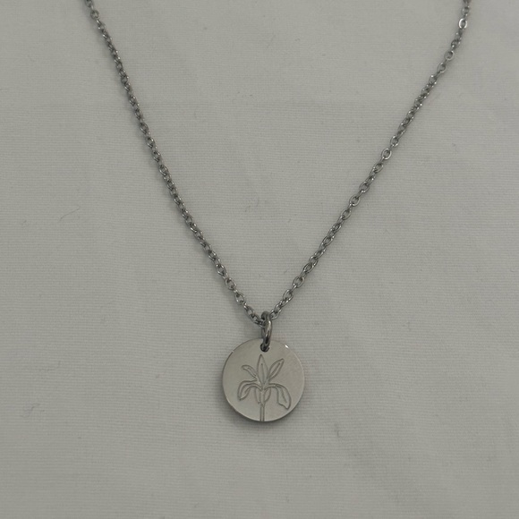 Jewelry - NWOT Iris Stainless Steel Pisces - February Birth Flower Necklace Mother’s Day